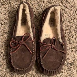 Dark brown UGG Slipper